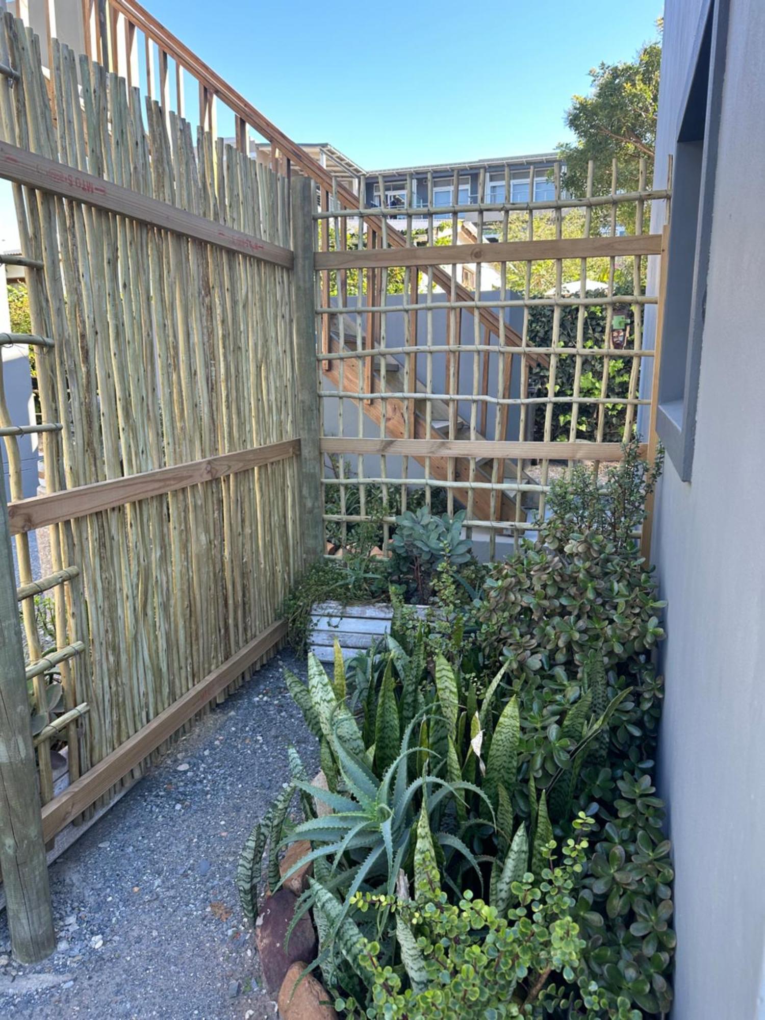 Modern Apartments Downtown 普勒滕贝格湾 外观 照片